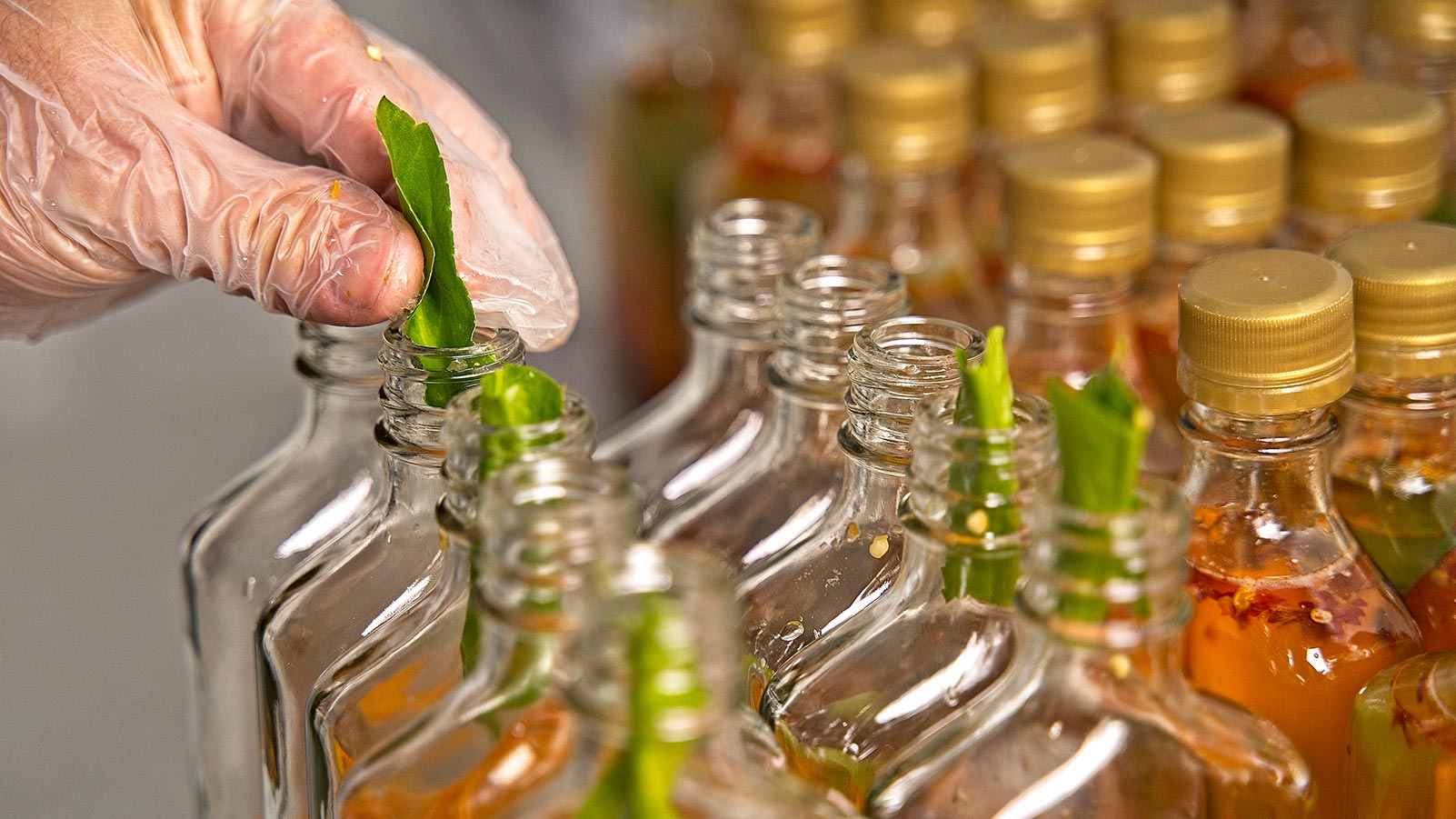 What Is Lacto-Fermentation? Does It Have Health Benefits?